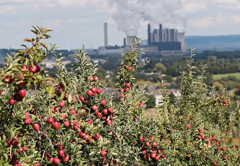 Kohlekraftwerke im Saarland in Standby-Modus: Bereit für Energiekrise