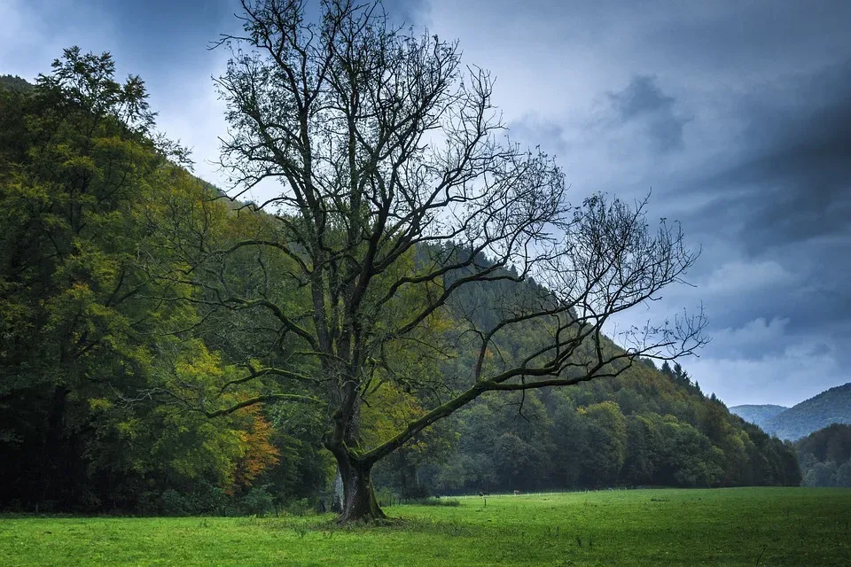 Ungemütliches Wetter in Mecklenburg-Vorpommern: Kühl, regnerisch und stürmisch