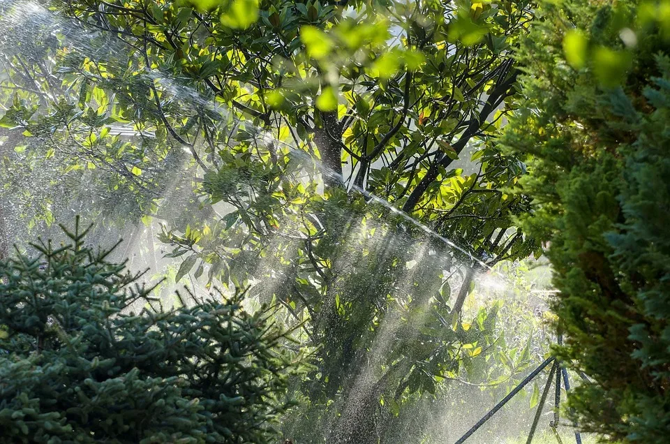 Umweltinnovation: Anlage fischt Plastikmüll aus Flüssen