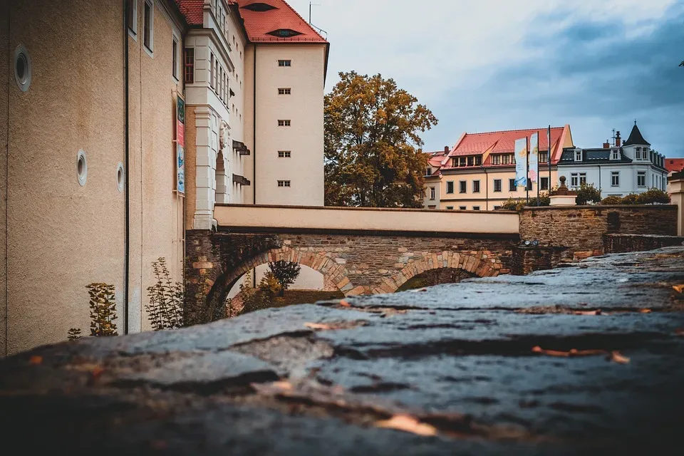 Storchenhartholzprojekt bei Horstsanierung in Mittelsachsen