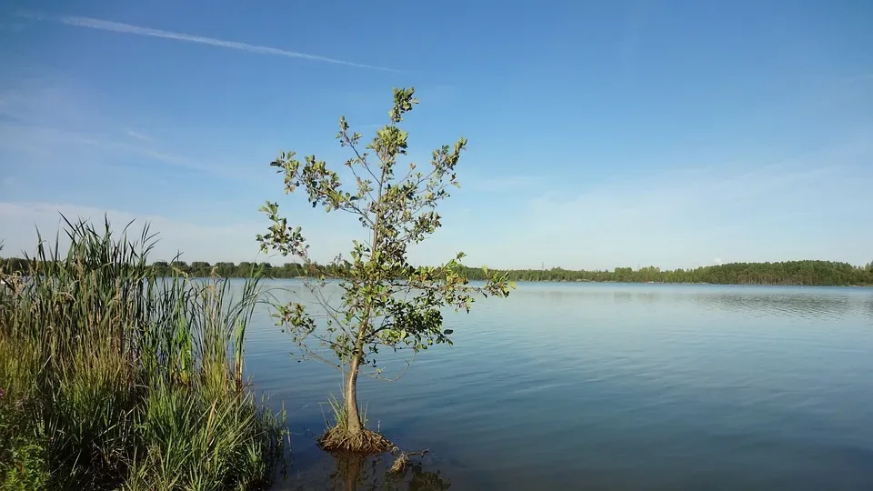 NRW Bildungsrevolution: Neue Wege für angehende Lehrer in NRW