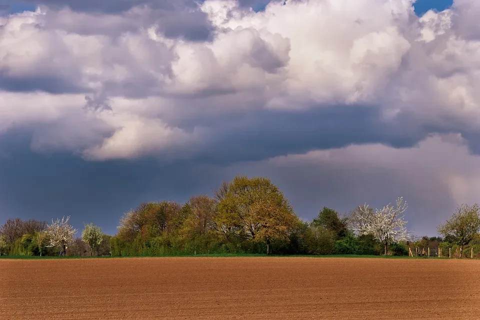 Aprilwetter in Thüringen: Wechselhafter Donnerstag mit Regenschauern und Sonnenschein