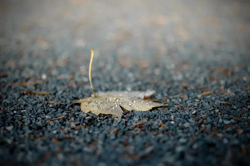 Wetter: Bewölkungszunahme und Regen in Nordwesten