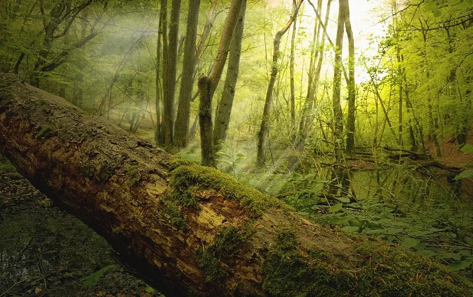 Frühlingserwachen im Naturschutzgebiet Vilstal – Naturerlebniswanderung in Dingolfing-Landau