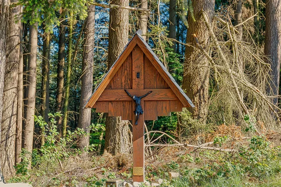 Wolfssichtung im Stolberger Wald: Erstmals bestätigt durch Wildkamera!