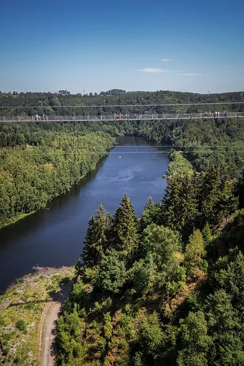 Unfallflucht im Wald: Fahrerflucht endet mit spektakulärem Polizeieinsatz