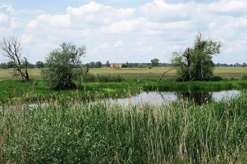 Havelland reagiert auf Trockenheit: Maßnahmen gegen Wassermangel