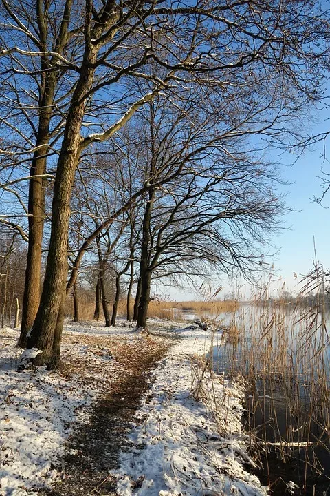 Landratswahl im Havelland: Vier Bewerber stehen zur Wahl