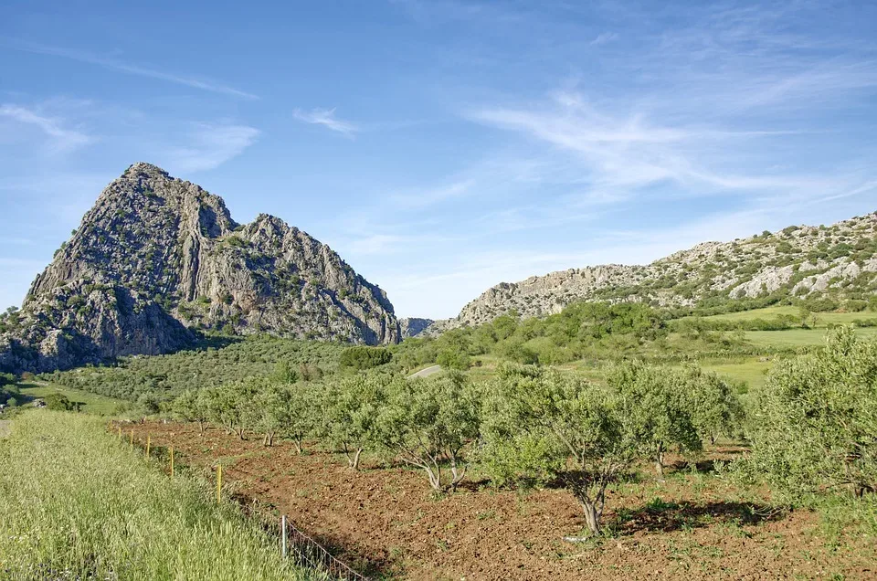 Naturpark Saar-Hunsrück: Fördergelder für Naturschutzprojekte