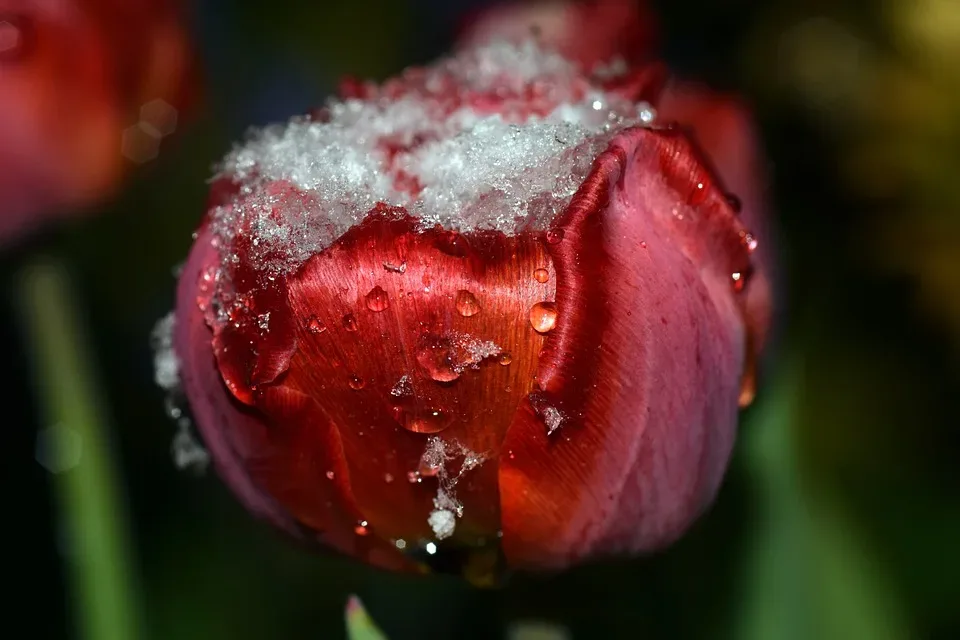 Unbeständiges Aprilwetter: Was die kommenden Tage für Hessen bereithalten