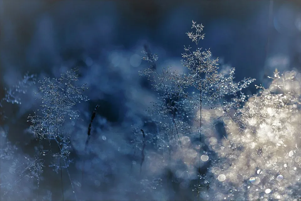 Winterliches Wetter hält Einzug in Rheinland-Pfalz und im Saarland