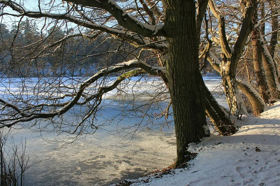 Winter-Comeback im Hunsrück: Schnee sorgt für Behinderungen