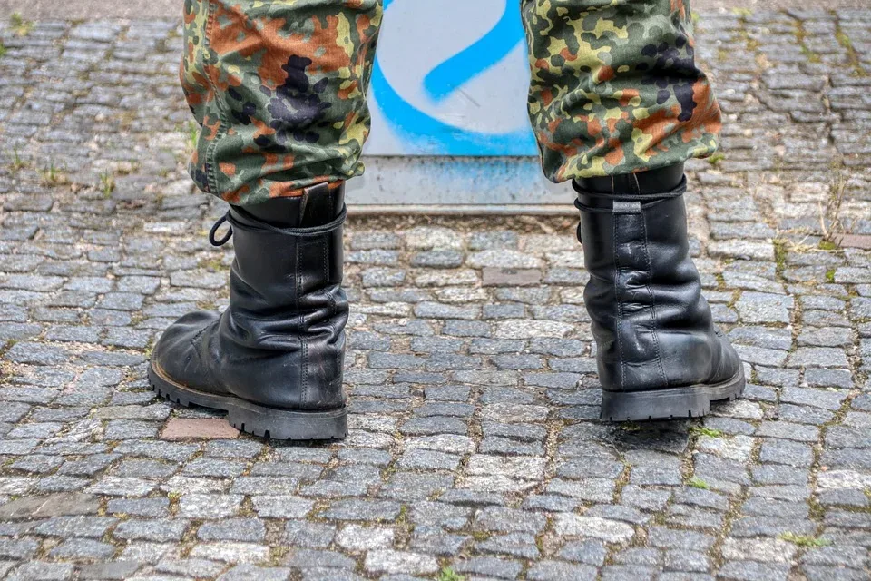 Bundeswehr Tiefflüge gefährden Vogelschutzgebiete im Landkreis Wittenberg