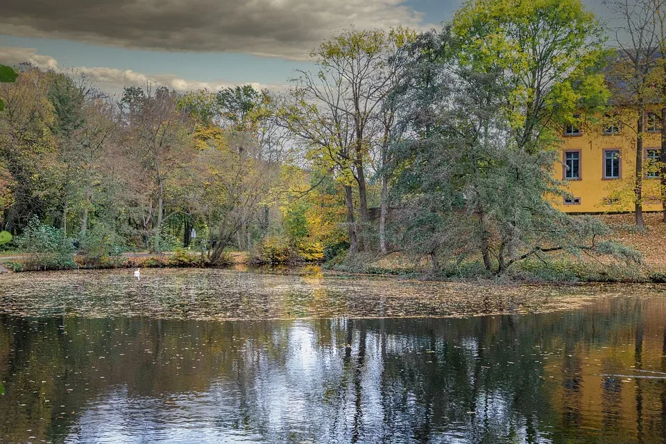 Wettervorhersage für Düren: Was erwartet Sie in der kommenden Woche?