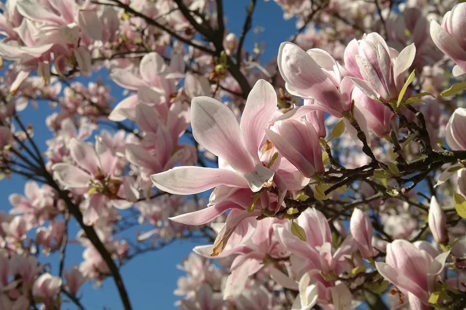 Wettervorhersage KW 18: Regenreiches Frühlingswetter in Ludwigsburg erwartet