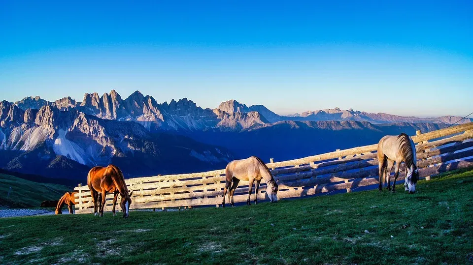 Frauenpower in Brixen: Von der Alm bis zur Altstadt – Ein Blick auf die beeindruckenden Frauen in Südtirol