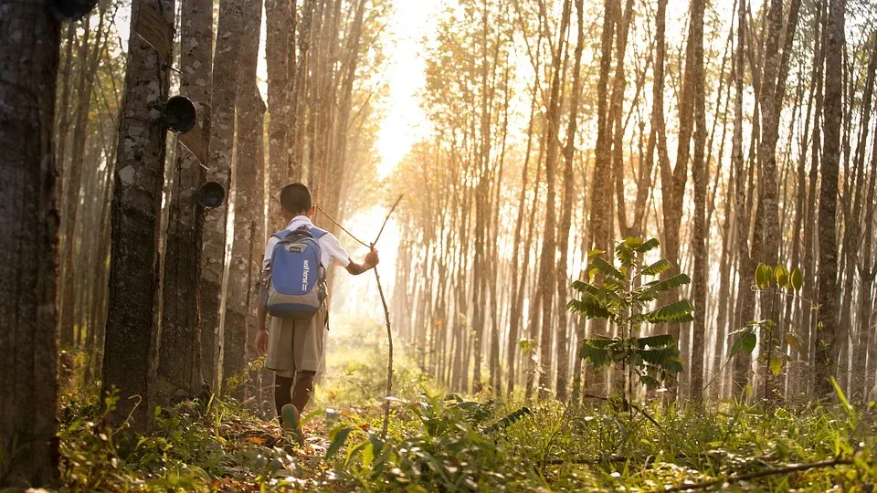 Sorge in Amberg: Vermisster Schüler wieder aufgetaucht nach großer Suche