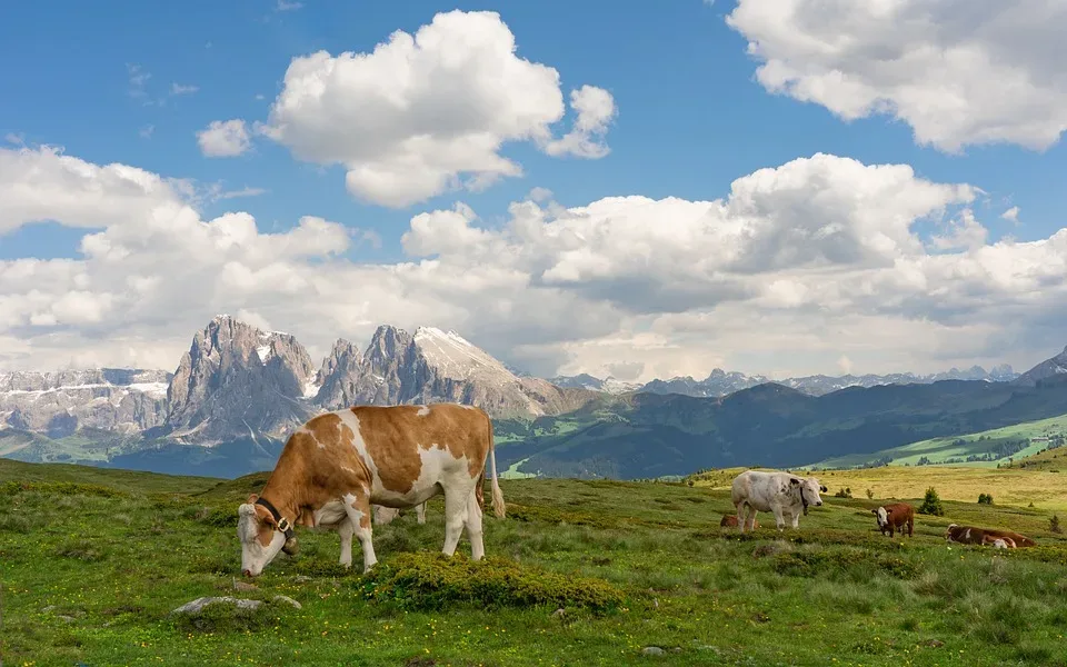 Verkehrsregelungen in Tirol: Was Grenzgänger und Pendler beachten müssen