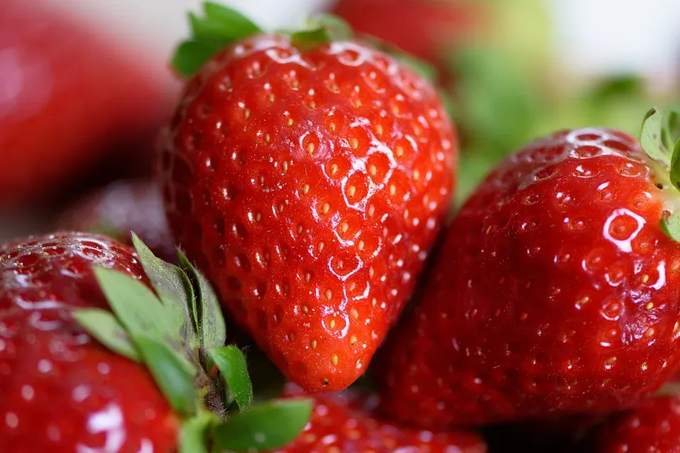 Krone der Erdbeeren: Hessen eröffnet Saison mit besonderem Ereignis