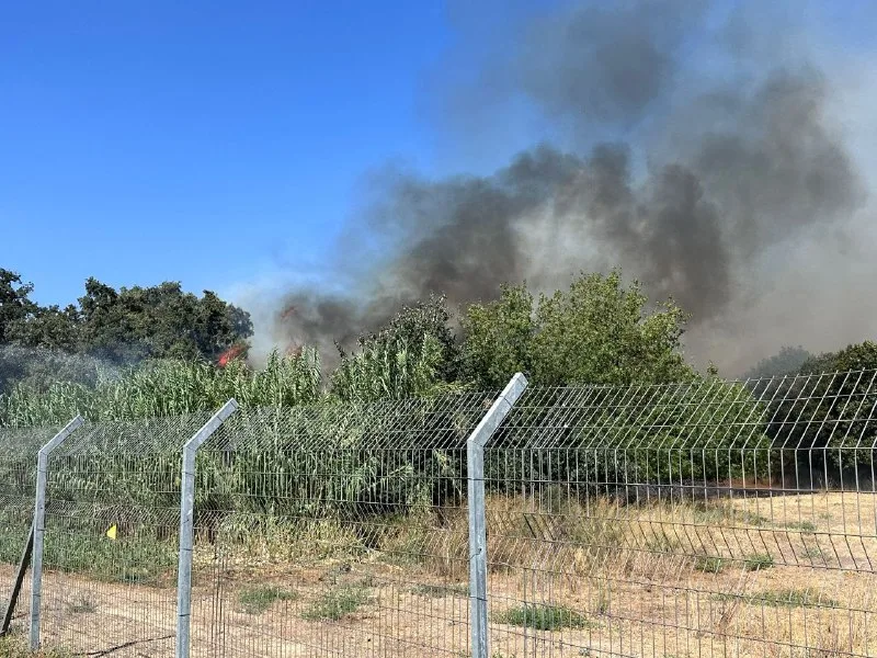 Eskalation in Israel und Gaza: Feuerwehr im Einsatz im Norden