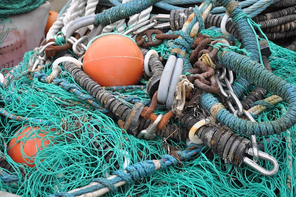 Meeresverschmutzung im Fokus: Jugendliche zeigen Erfahrungen aus Beach-Clean-Up-Reise