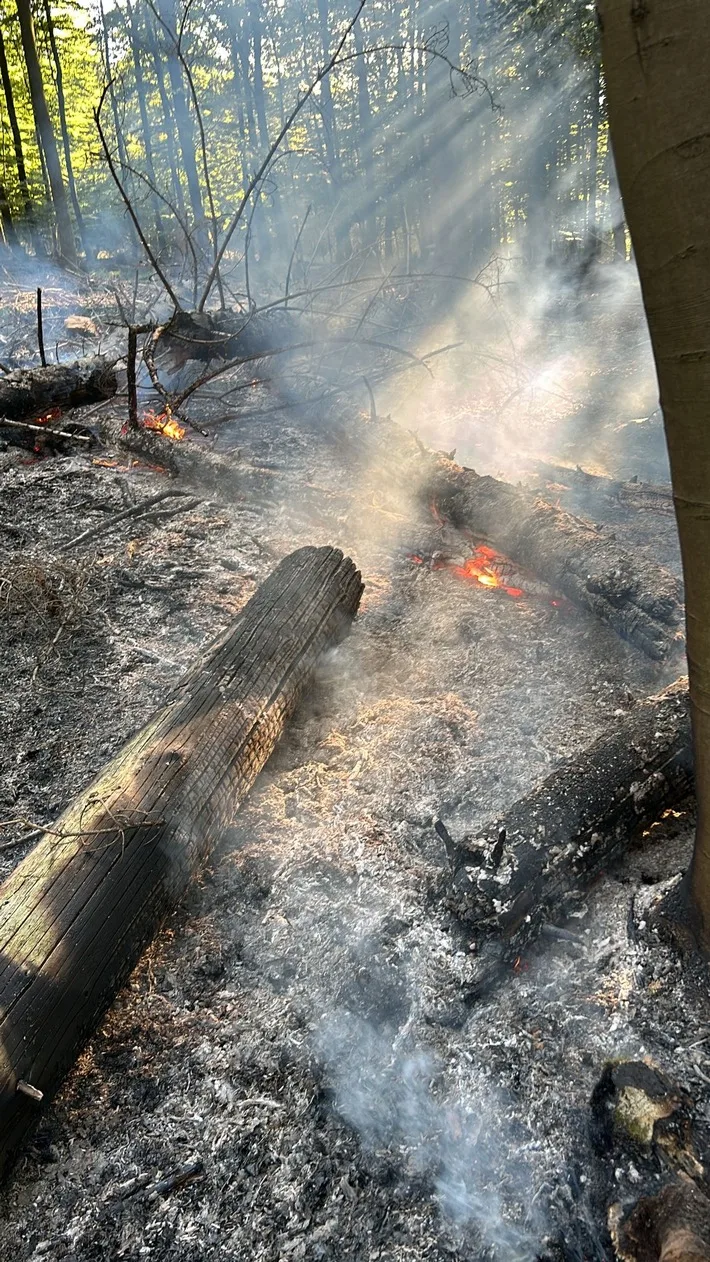 Unterholzbrand im Aupketal: Feuerwehr erfolgreich im Einsatz in Ense