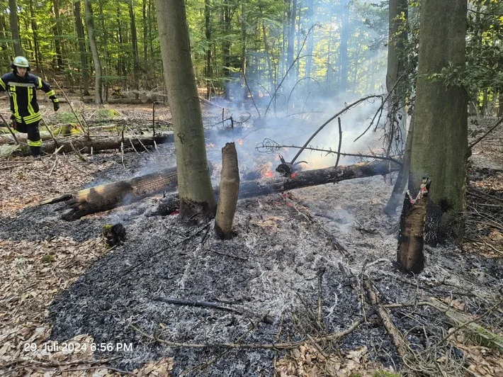 Waldbrand in Steetsberg: Feuerwehr Ense und Arnsberg im Einsatz