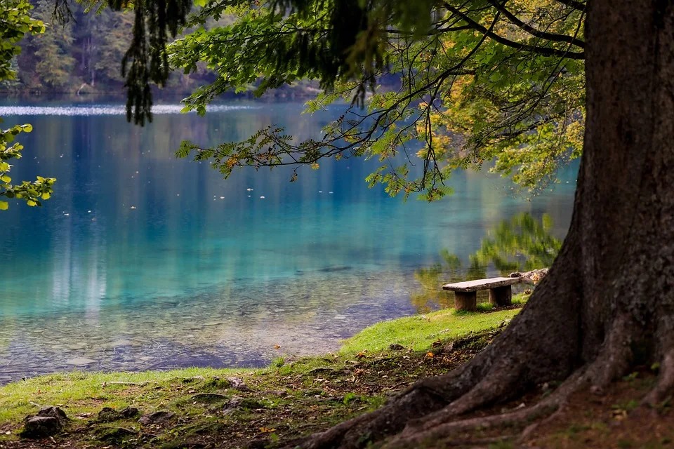 Affe Luke Lakewalker sorgt für Aufregung am Bodensee