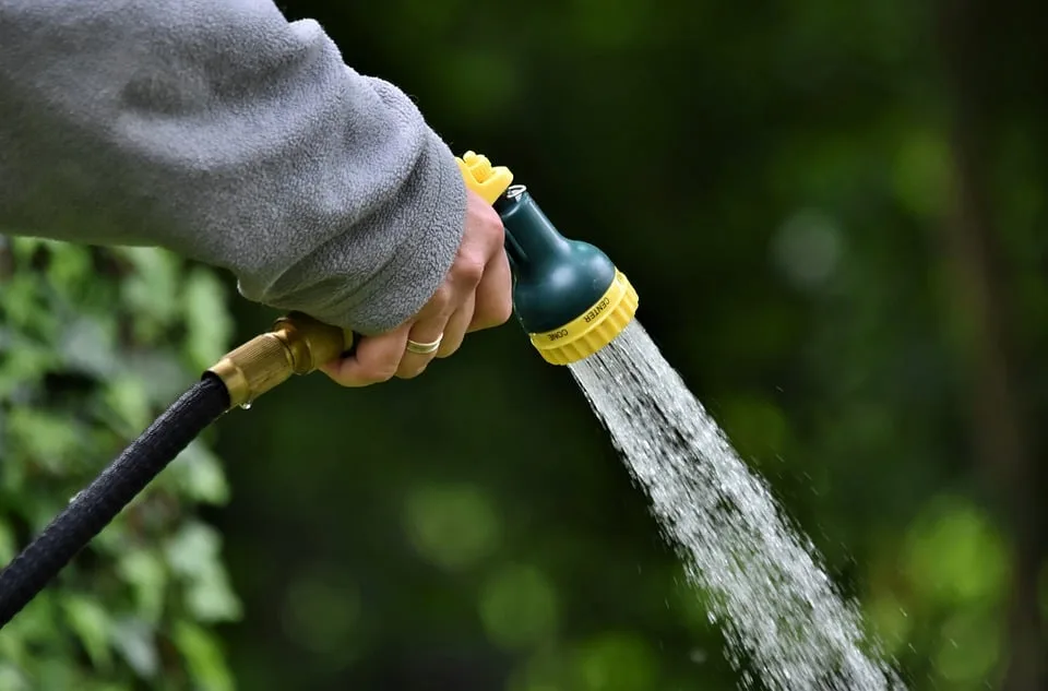 Badewarnung für Berliner Gewässer: Algenblüten und Bakteriengefahr