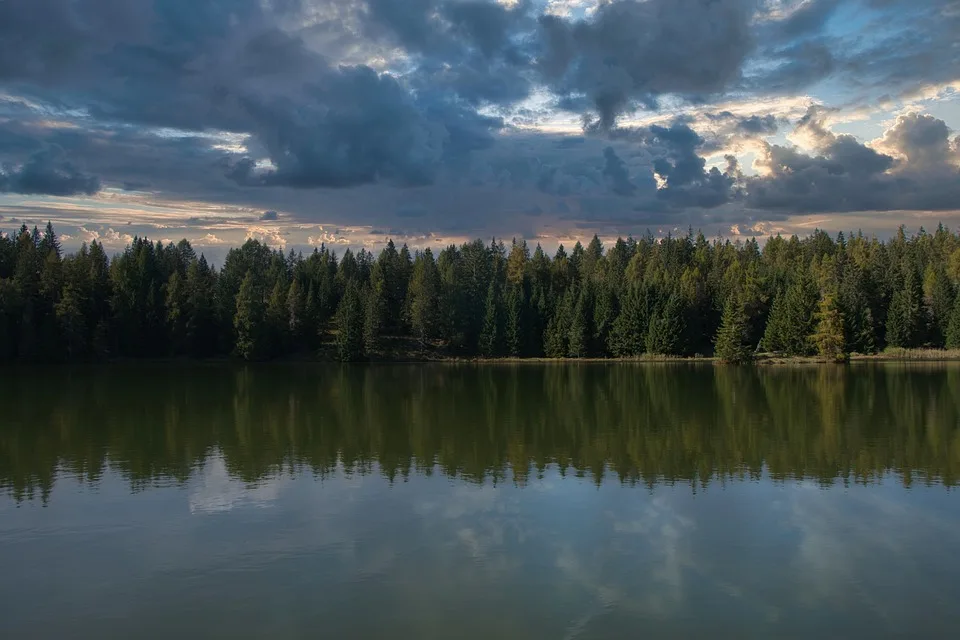 Der Wörther Weiher: Ein Naturjuwel für Erholungssuchende