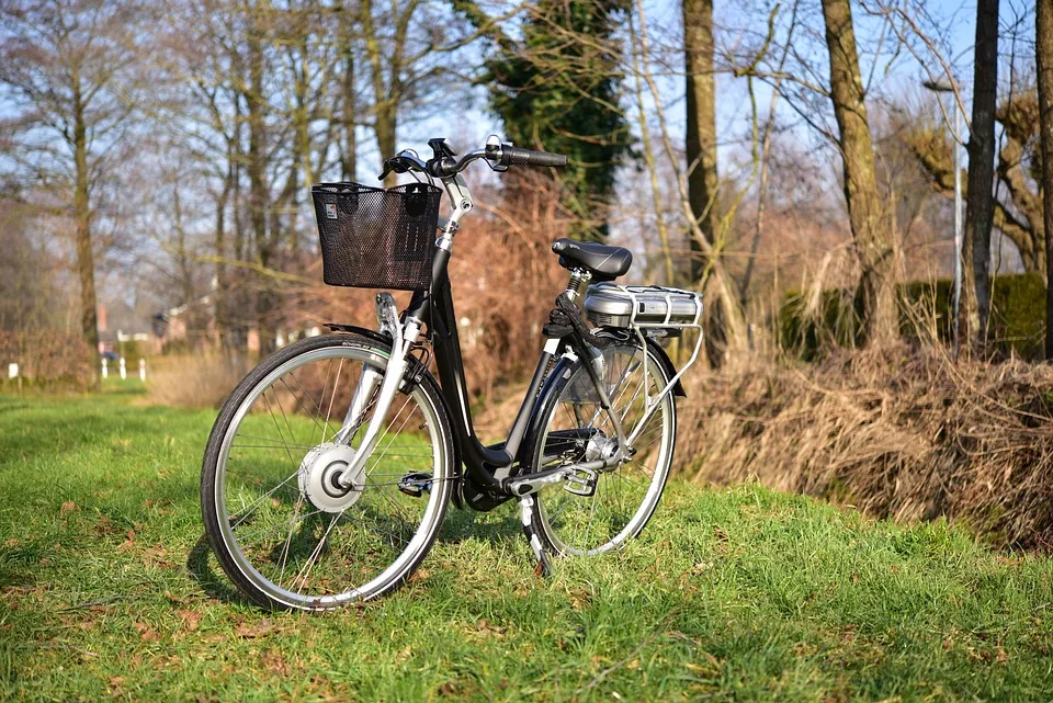 E-Bike-Diebstahl in Bad Dürkheim: Hinweise zur Aufklärung gesucht