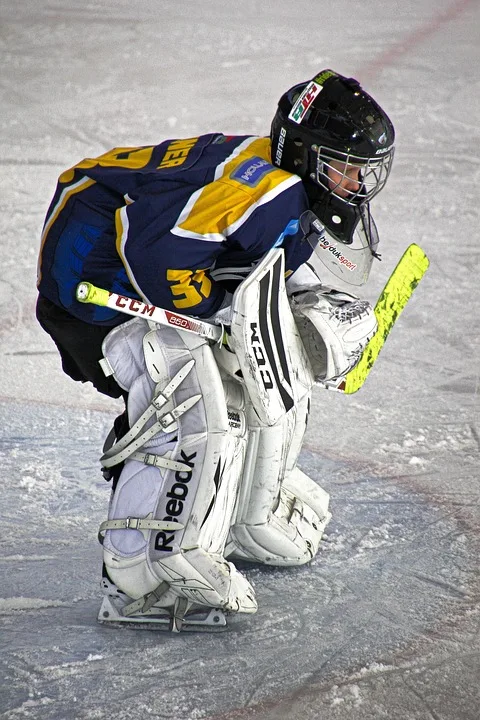 EC Bad Nauheim triumphiert 5:0 gegen Amiens vor vollem Haus