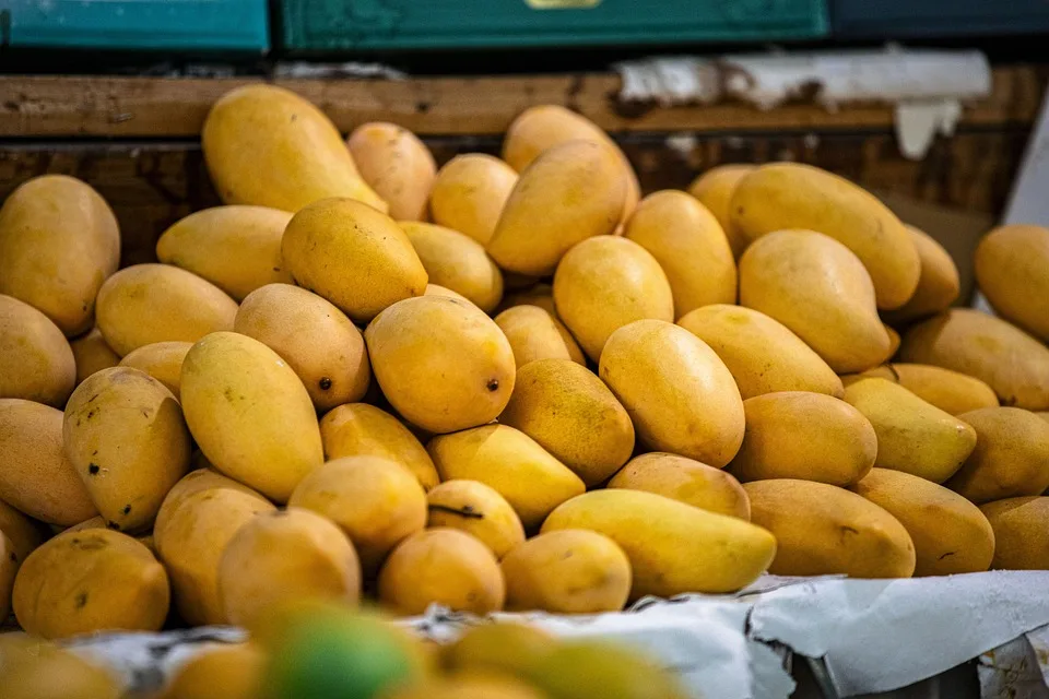 EDEKA-Zukunftsmarkt in Nauen: Vorreiter für nachhaltiges Bauen