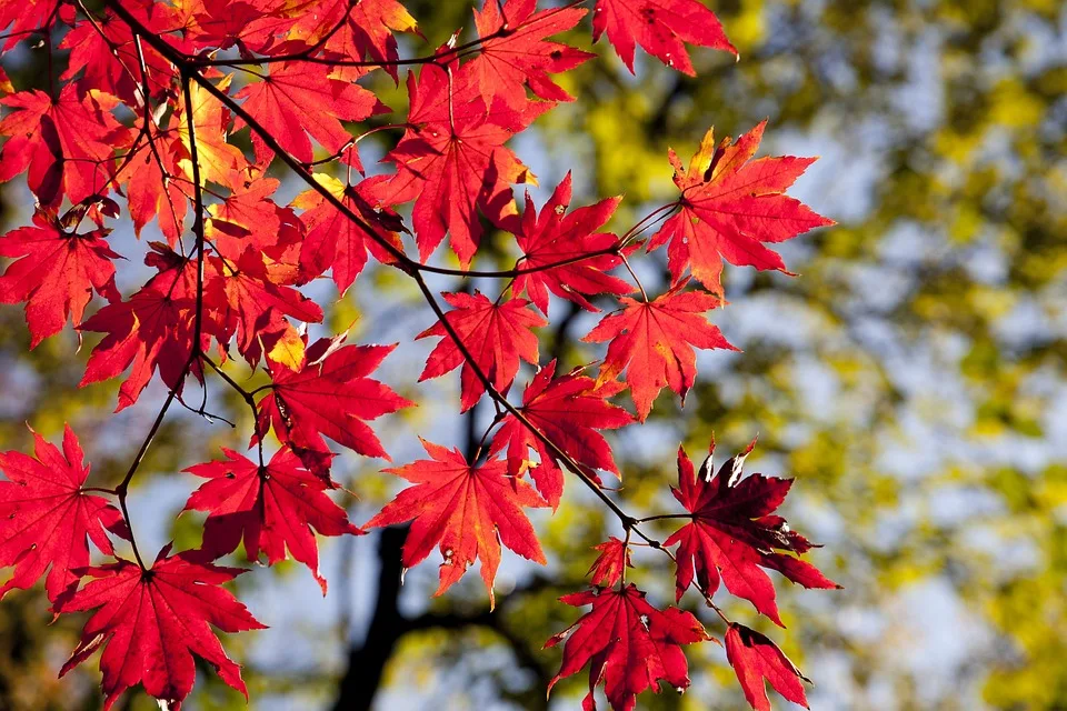 Ein Herbst voller Wärme? Wetterprognose für September in NRW