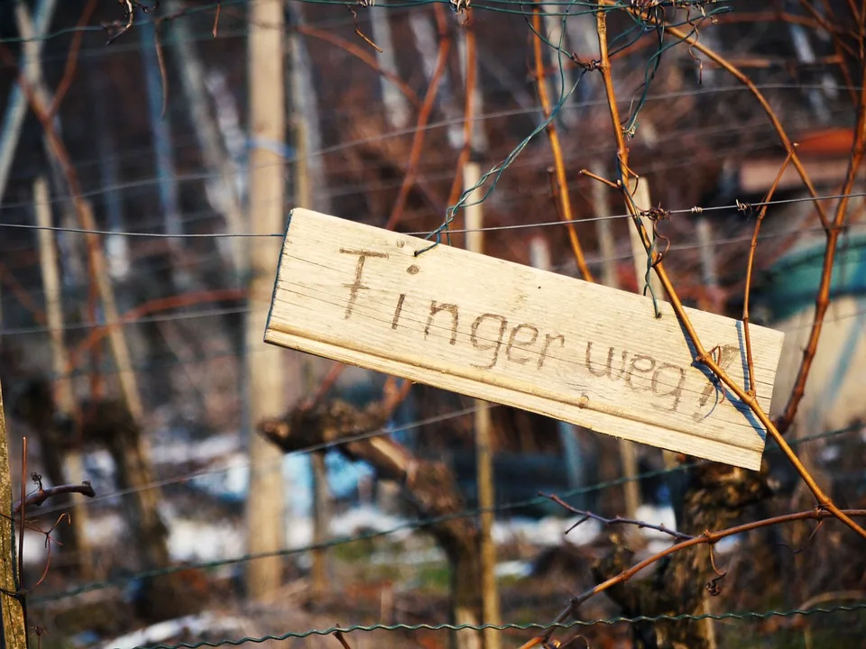 Einbruch in Suhler Garten: Täter hinterlassen 200 Euro Schaden