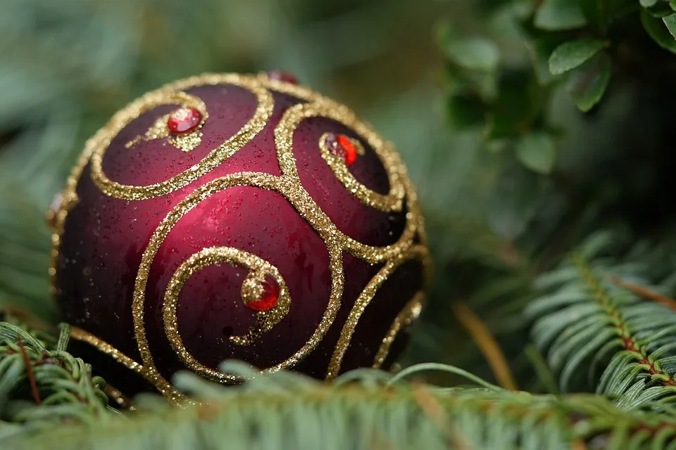 Eine Tanne für die Feiertage: Weihnachtsbaum-Angebot in Niedersachsen schwindet