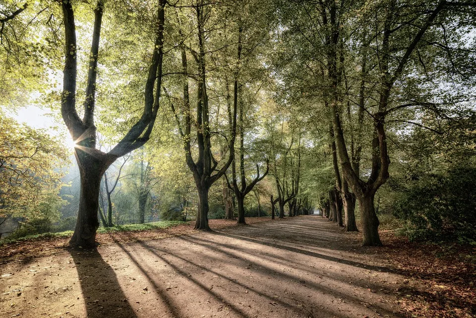 Entdecke die grüne Oase: Tivoli-Park im Šiška-Viertel