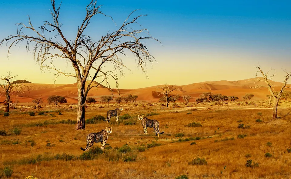 Entdecken Sie den Serengeti-Park: Ein Tierparadies in Niedersachsen