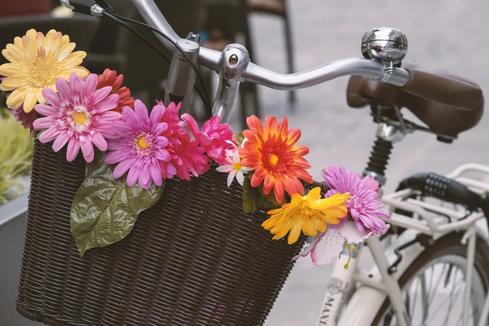 Fahrradwege in Hessen: Fortschritte und Herausforderungen beim Ausbau