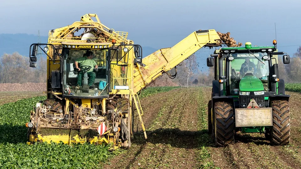 Geringe Erträge und enttäuschte Bauern: Ein Blick auf die Ernte 2023