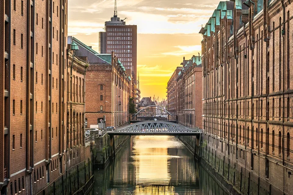 Grüne Wende für den Burchardplatz: 24 neue Bäume in Hamburg geplant