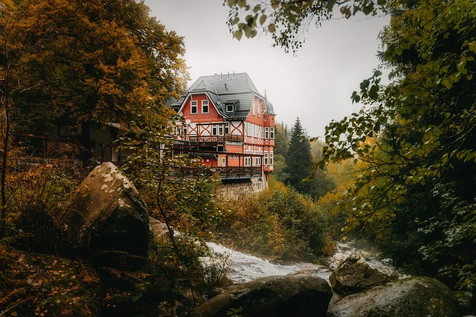 Harz im Fokus: Behörden lösen Hippie-Camp im Landschaftsschutzgebiet auf