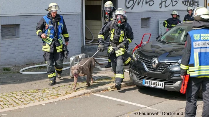 Heldhafte Feuerwehr rettet Hund aus loderndem Balkonbrand in Dortmund