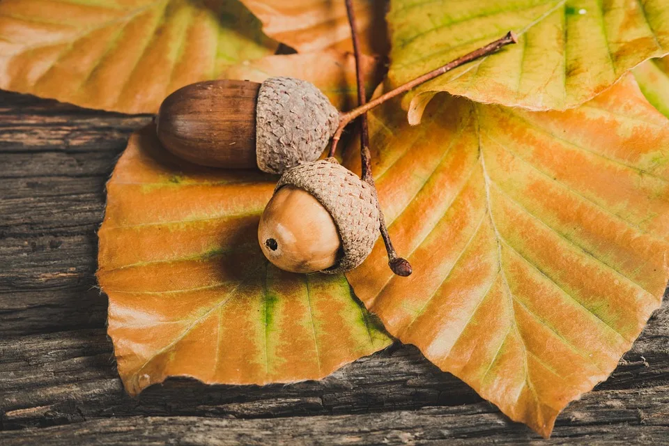 Herbstferien: Finanzielle Anreize für Praktikanten im Handwerk