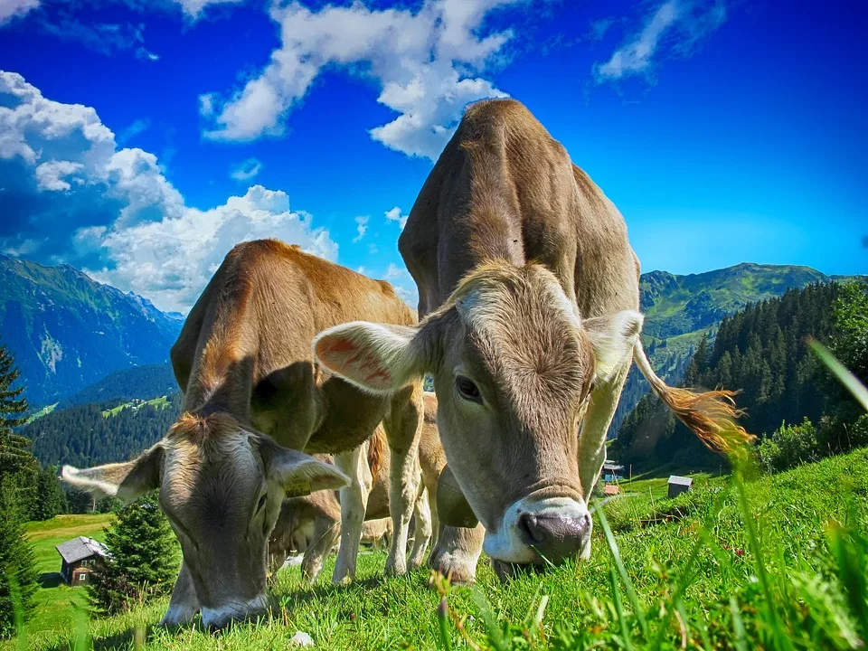 Hightech auf dem Bauernhof: Familie Nußrainer setzt auf moderne Landwirtschaft