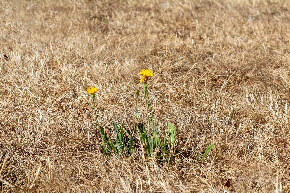 Hitzewelle in Bayern: Heiße Temperaturen vor dem Gewitterumschwung