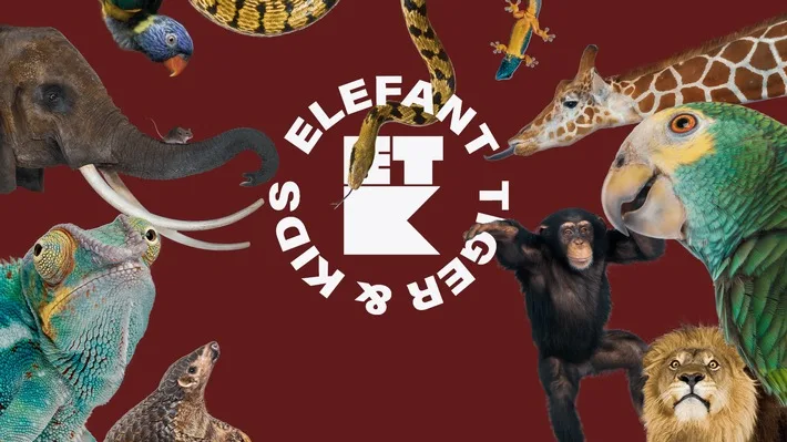 Jetzt bewerben: Dritte Staffel  Elefant, Tiger & Kids  startet im Oktober!