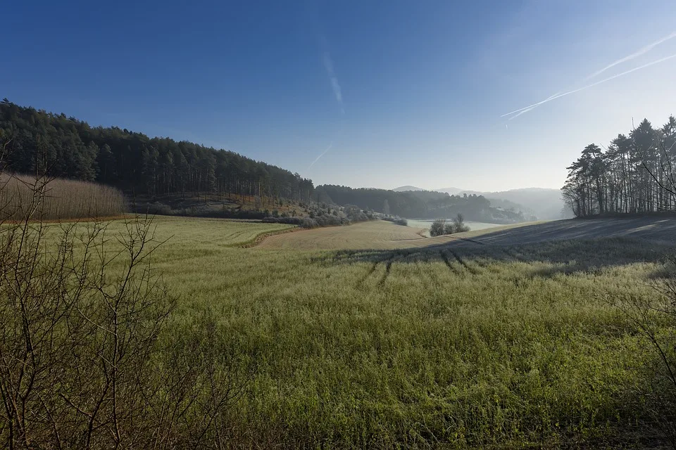 Klimagerechtigkeit im Fokus: Abendgespräch mit Prof. Grunwald