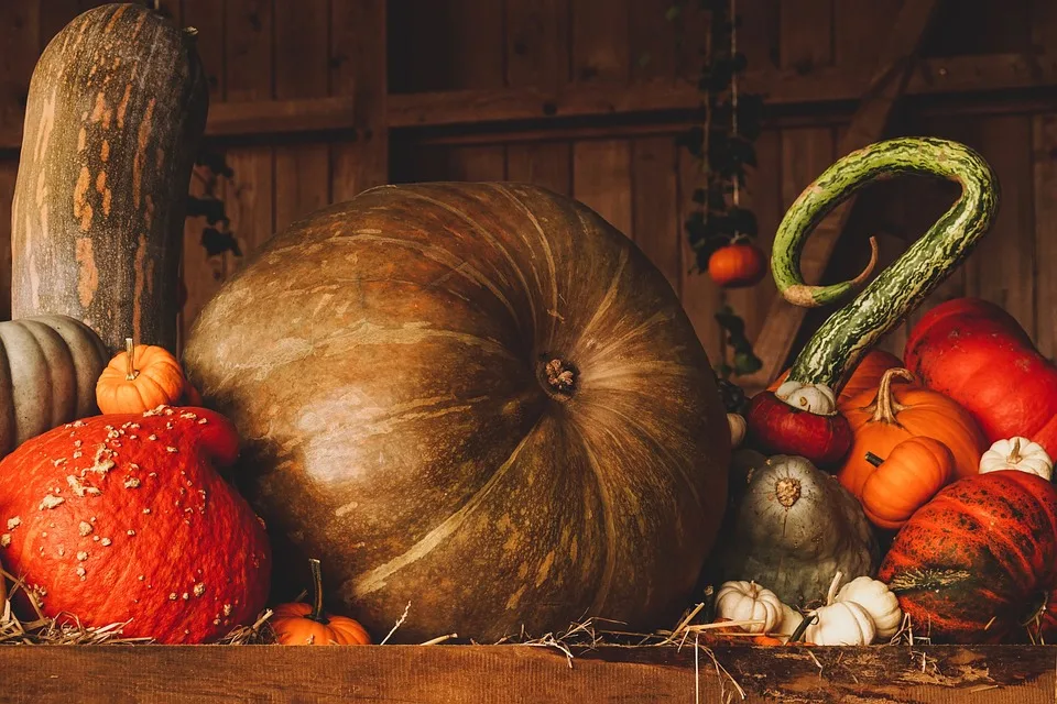 Kostenlose Ernte: So sichern Sie sich Obst aus Moosinning