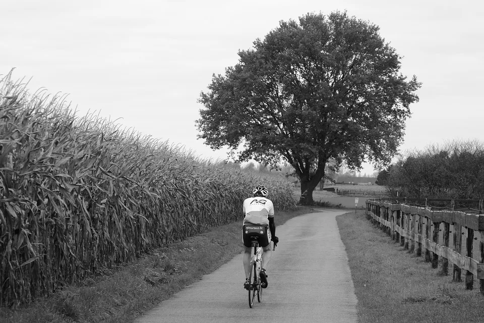 Mit über 200 Kilometern durch die Natur: Radeltour der Methleraner Radsportler